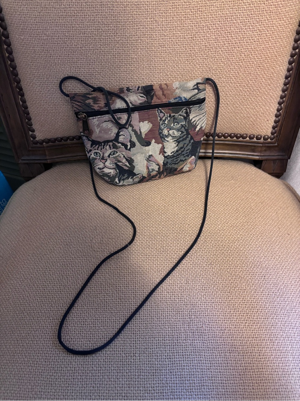 Vintage Tapestry Cat Crossbody Bag in Multicolor